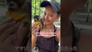 アマゾン川で出会った子🐒❤️ #世界一周 #ひとり旅 #海外旅行