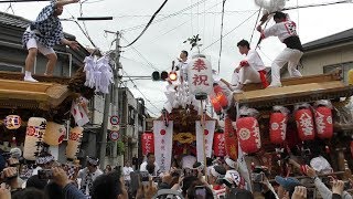 令和元年5月1日生野区令和奉祝地車曳行　生野神社地車講・八坂・田嶋