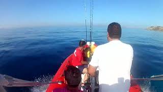 fishing in kos season 2017