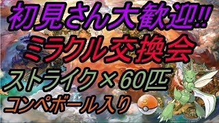 【ポケモン】ミラクル交換会!!コンペボール入りストライク60匹配ります!!【USUM】【Live】