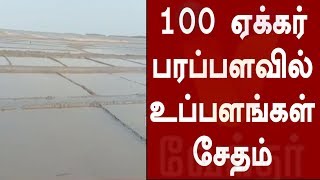 100 ஏக்கர் பரப்பளவில் உப்பளங்கள் சேதம்.