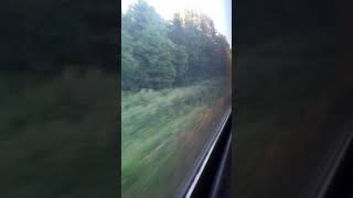 Trip with electric train from Tukums-1 to Ķemeri stations