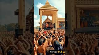 #முருகன் #trending #thiruchendur #murugan #lordmurugan #thiruchendurmurugantemple #murugan #muruga