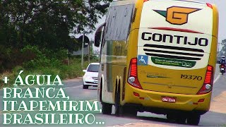 Veja quais ônibus foram registrados na rodovia