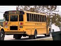 various school buses