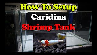 Caridina Shrimp Tank Part 1  - SL Aqua Method