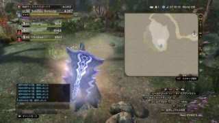 570　シールドセージ lv.90　穴あきワールドク〇スト、ラスニテ納骨廟、フェルヤナ轟咆洞＜RPG＞［DDON］｛PS4｝ ボイス無し