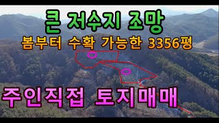 (주인직접매매) 010-2805-7660 큰저수지 조망 봄부터 수확가능한 3356평 토지 싸게 매매 합니다!!