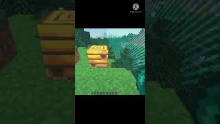 New! minecraft but can we go in bee hive. iSsue gaming. #shorts #minecraft