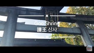 God of leg health [Goou Shrine] (Kyoto Vlog)