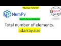 NumPy Array Attributes #2 | 