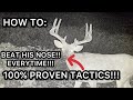 HOW TO BEAT A MATURE BUCKS NOSE EVERYTIME   HD 1080p