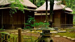 Japanese natural park. A historic tea room and tea garden in it. Historical feudal cemetery.