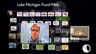 LS2A - Interdependent Relationships in Ecosystems