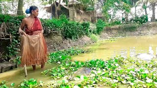 Traditional Net Fishing Siklls.. A Village Fishing women  Catch Fishing  With Net..