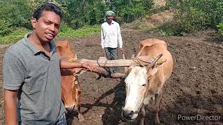 Traditional farming touch to our Indian culture परंपरागत खेती की पुरानी यादों को तरोताजा करें