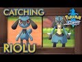 Pokémon Sword & Shield - How to Catch Riolu & Evolve it into Lucario