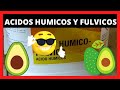 Importance of Humic and Fulvic Acids in Agriculture 🥑