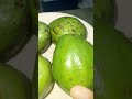 Buah Alpukat #shorts #shortvideo #stitch #fruit #buahbuahan #foryou #manfaat