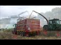 mais 2024 fendt 920 ford 8210 van wezep oldebroek mais silage maishakselen kemper