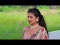 karthigai deepam ep 732 webisode feb 03 2025 zee tamil