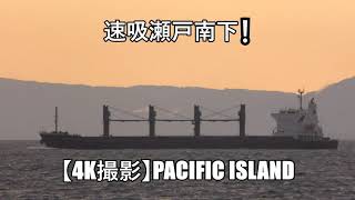 速吸瀬戸南下❕【4K撮影】PACIFIC ISLAND