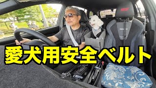 愛犬とドライブ　どこに座らせてる？シートベルト　安全ベルトはどうしてる？　©LEVORG_FAN.