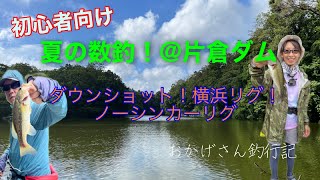 夏の数釣＠片倉ダム　～笹川湖・バス釣り～　Okagesan fishing notes Lure Fishing Large mouth bass