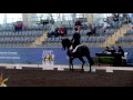 The Sydney CDI 2017 - Brett Parbery and DP Weltmieser 2nd in the NSW Sport and Rec FEI GP CDI 3*