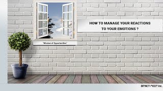 How to manage your reactions to your emotions?