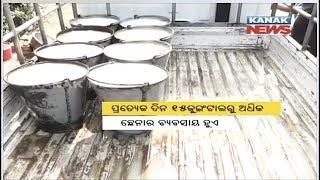 Kendrapara Chena(Cottage Cheese) And Sweets Made From It Famous Across Odisha