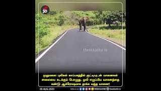 வாகனத்தை ஆக்ரோஷமாக தாக்க வந்த காட்டு யானை!