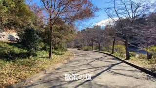 伏見北堀公園の高速散歩🚶‍♂️