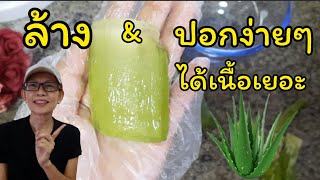 วิธีปอกว่านหางจระเข้ \u0026 วิธีล้างว่านหางจระเข้ให้สะอาด How to tell aloe