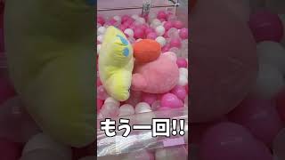 【クレーンゲーム】確率無視を狙っていったら…【カービィ ぬいぐるみ】【確率機】 #shorts