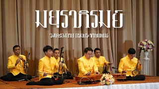 มยุราภิรมย์ - วงเครื่องสาย