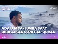 Muncul Lumba-lumba Saat Pria Ini Bacakan Surat Al-quran