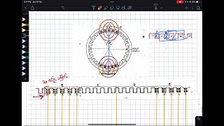 MMF and flux distribution in AC machines part 1