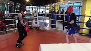 보디 다운 빡!!!  뻔치토너먼트 챔피언 스파링!  boxing sparring