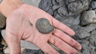 DJ Fossils Charmouth to Golden Cap