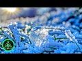 Frosty Morning Music | Calm Music for Relaxation and Meditation