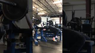 135x12 bench