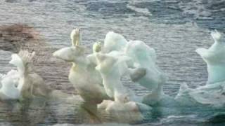 Global warming and Polar Bears