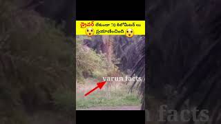 😲అ train డ్రైవర్ లేకుండా వెళుతుంది | amazing facts#virelshorts