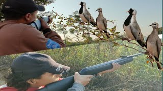 رحلة صيد يمام بالجامو شادو 1000 ورش رمبا/Hunting pigeons with Jamo Shadow 1000 / احمد صبرى القناص