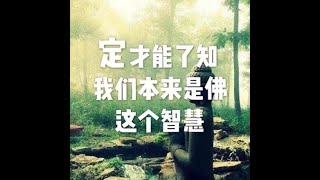 201703 定　才能了知我们本来是佛这个智慧22341