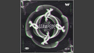 Stampede (Extended Mix)