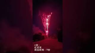 24發游星