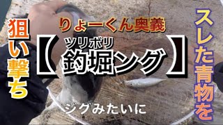 浮いてる青物に口を使わせて釣る方法【釣堀ング】【水宝】釣ガチ海上釣堀＃176