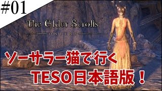 #1【TESO実況】ソーサラー猫のエルダースクロールズオンライン【日本語版】